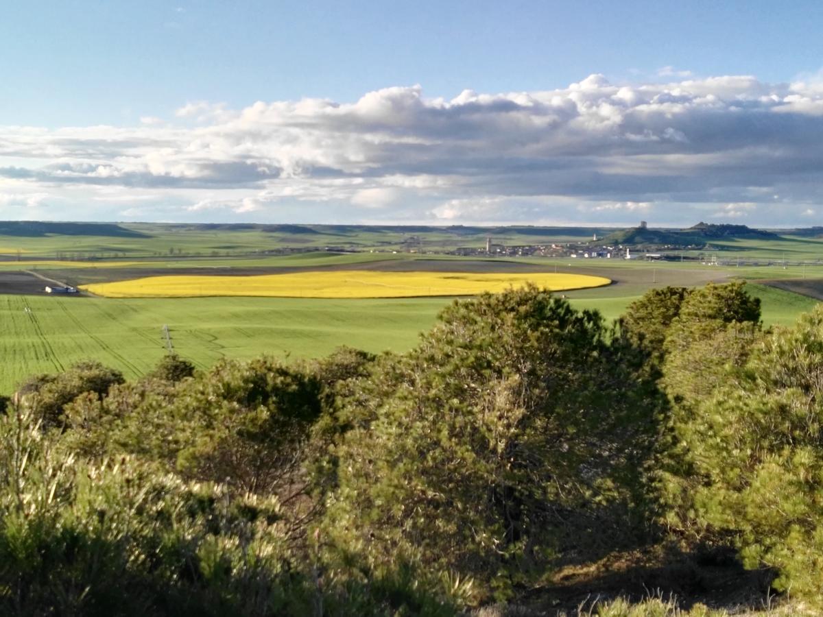 La Aldea Colorada Casa Rural Mota del Marqués Екстериор снимка